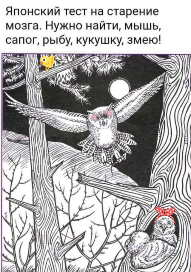 Бредзона 10.10.2021