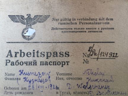 Австрийские полицейские уже сутки контролируют соблюдение обьявленного канцлером "локдауна для непривитых"