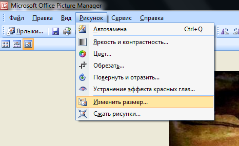 Селфи с работы