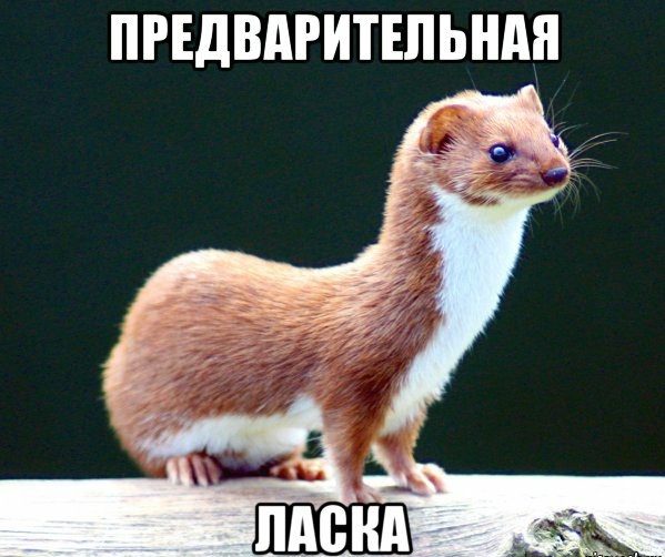 Отыгрался по полной..