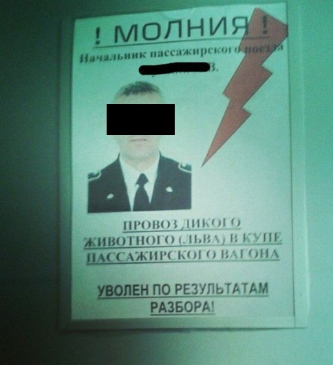 Так себе картинки 22.01.22