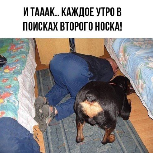 Баянисто-небаянистый юмор 30.03.22