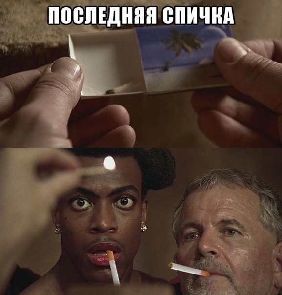 Весёлый полтишок 24.05.22