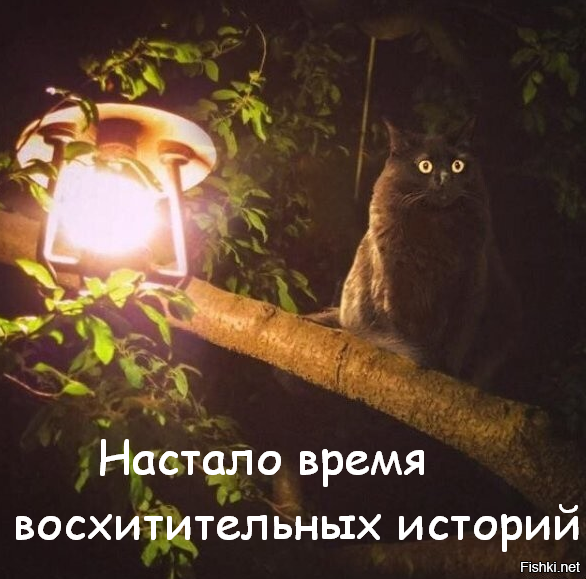 Армянин и лютый пздц (не ходите девки в клубы по ночам)