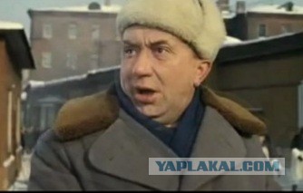 Во «Вкусно и точка» начали продавать пиво