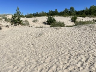 Курорты Белого моря!