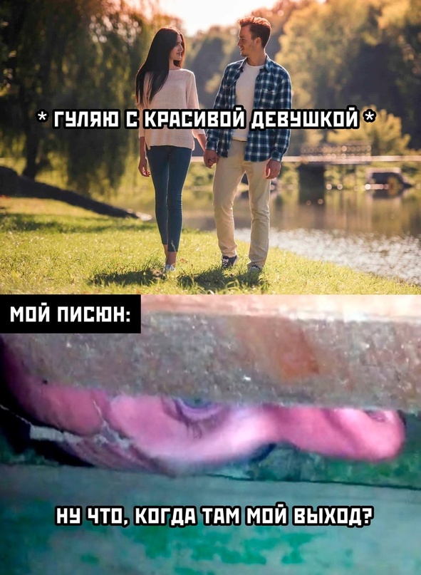 Весёлый полтишок 12.10.22