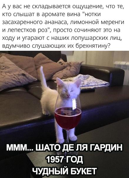 Деградация лайт 14.10.2022