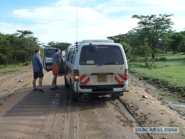 AFRICA - (Эфиопия,Кения,Танзация) 4-16 ноября 2011