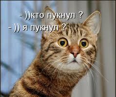 Если кто-то кое где у нас порой...
