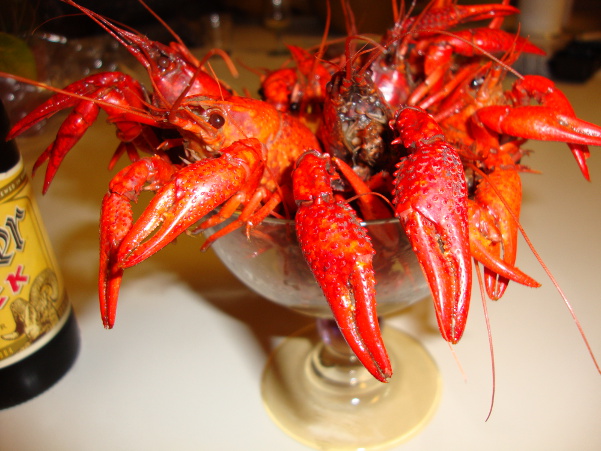 Спринг-роллы