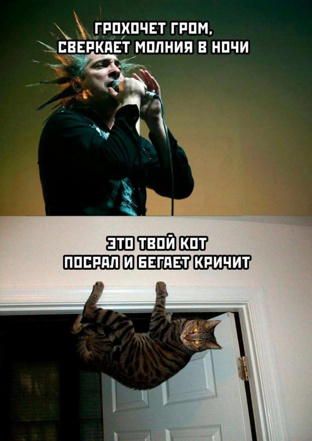 Набрел на склад баянов. Налетай