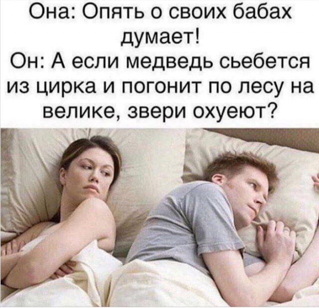 Про медведов вопросы.