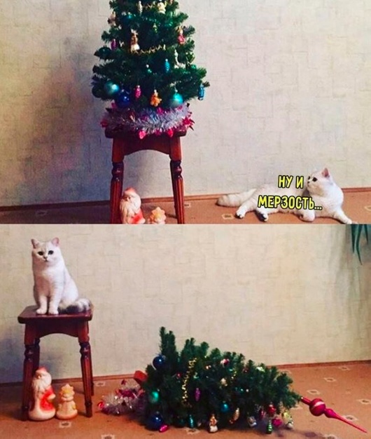 Так себе картинки 06.12.23