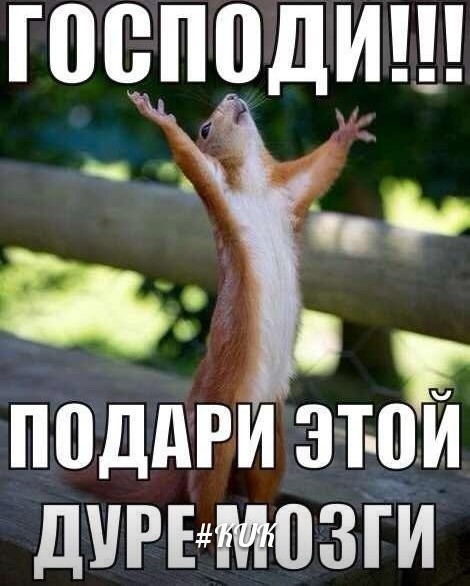 Многодетная мать потеряла две квартиры, офис на севере столицы и попала в психиатрическую клинику после посещения тренингов
