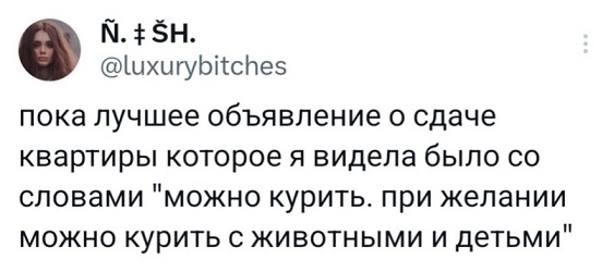 Показывайте кота!