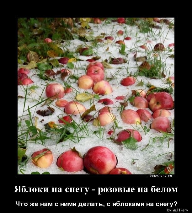 Абсурдные русские хиты 90-х. Что авторы хотели ими сказать