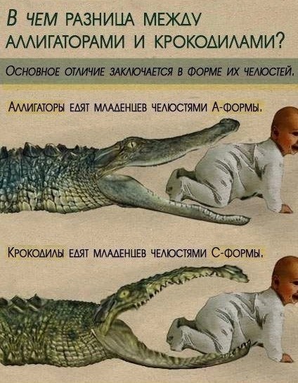 Всего понемногу. От 29.07