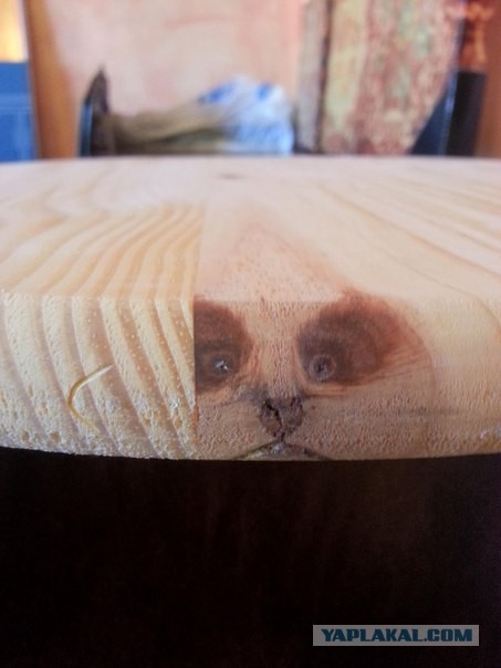 Лёгкой упоротости псто