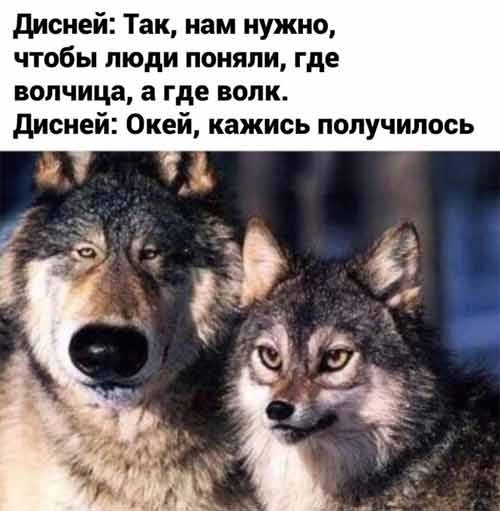 Завалялось тут случайно немного забавных картинок