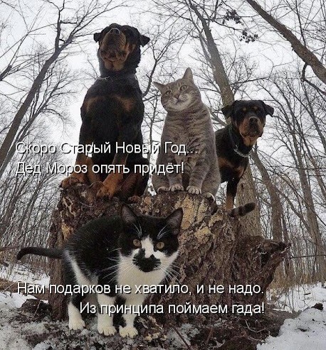 Завалялось тут случайно немного забавных картинок