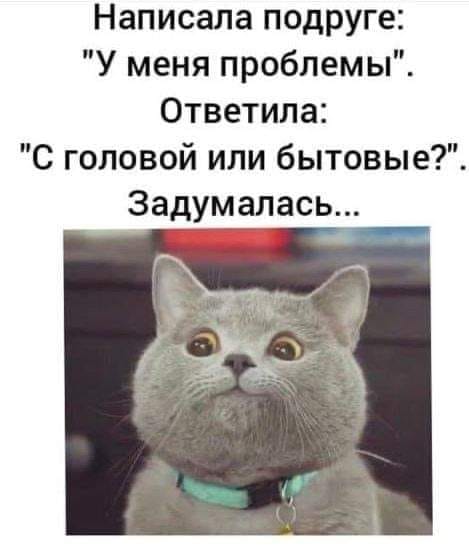 Так себе картинки 13.02.25