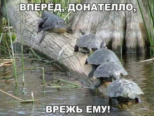 Всего понемногу. От 27.02.2025