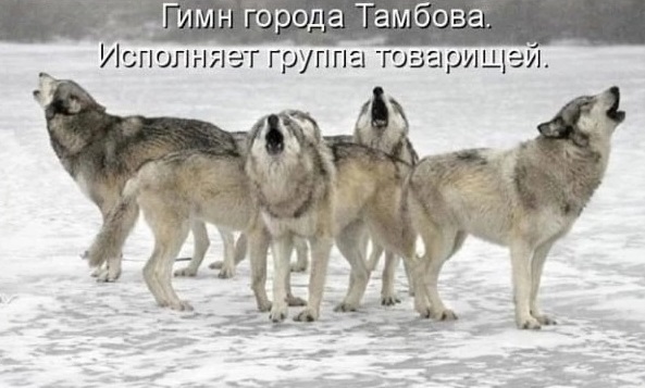 Доставка новостей