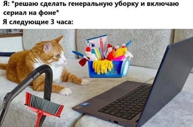 К-котовторник.