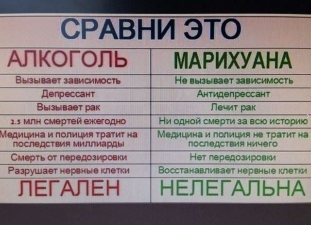 Юмор для тех, кто уже повзрослел и понял, что возраст — это просто дорогое хобби