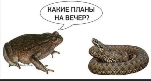 В Волгоградской области жестоко убили федерального судью
