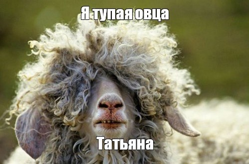 Самый противный знак зодиака для мужчины
