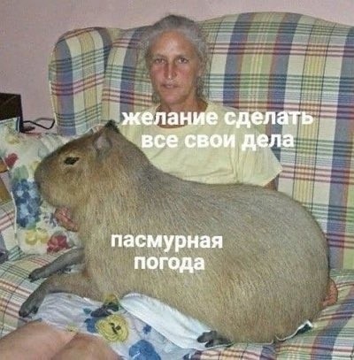 Четверг в картинках