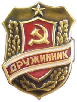 Добровольная народная дружина
