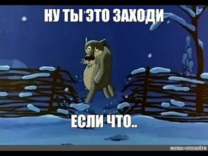 Говно волков, сжирающих оленей в Финляндии, содержит российскую ДНК