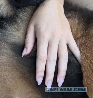 Сидни и ее пёс