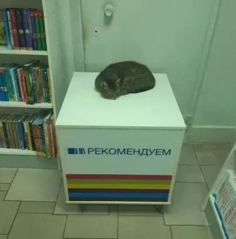 Пакет брать будете?