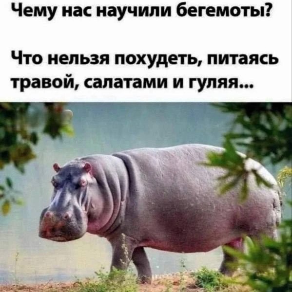Нуштош. Убийство зрителя (s5e7)