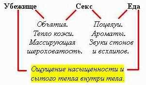 Физиология возникновения мышления для школьников.