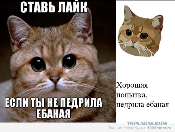 Журналистку "Слона" избили гомофобы