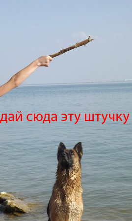 СтопХамСПб - Труба