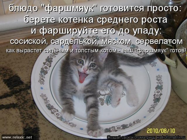 Забавный котикс