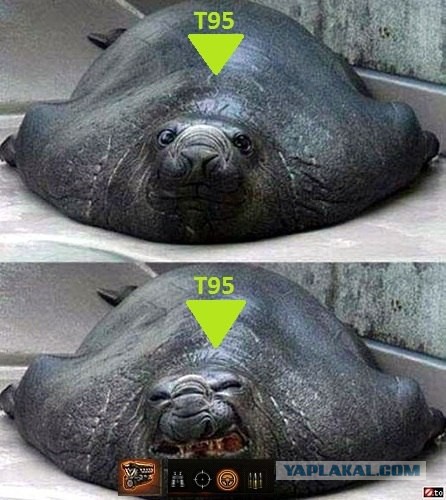 Wargaming 9