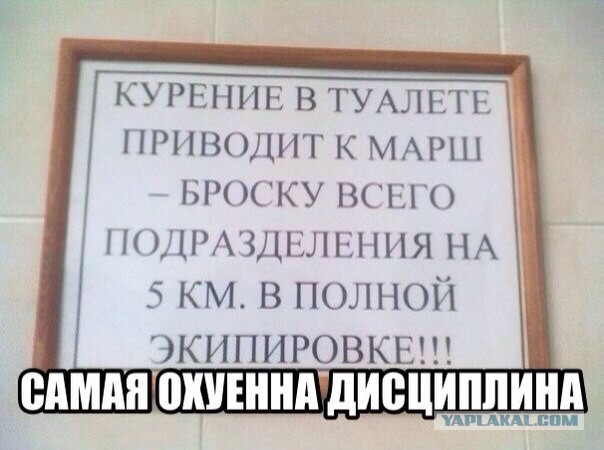 Очередная подборка смешных высказываний