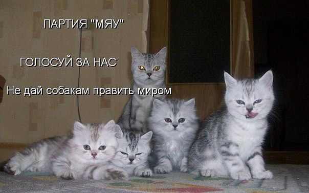 Позитивные картинки и комментарии.