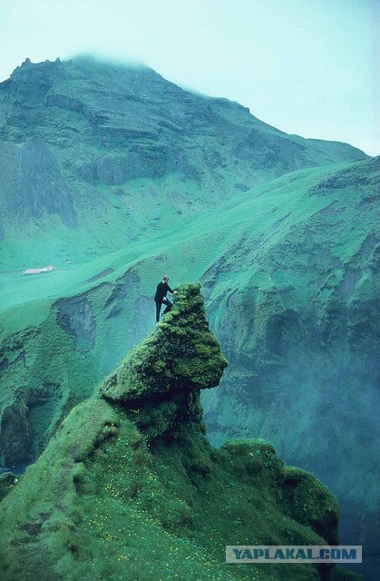 Мне нравится природа