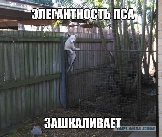 Демотиваторов пост, добавляйте свои