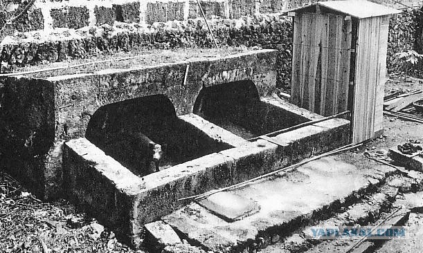 Парк какашек в Южной Корее