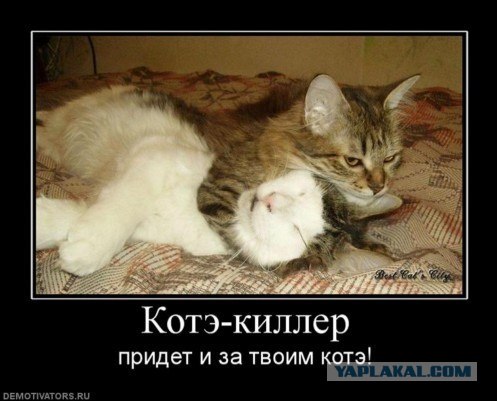 Заработал денежку