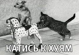 Перемирие кончилось, едва начавшись.